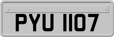 PYU1107