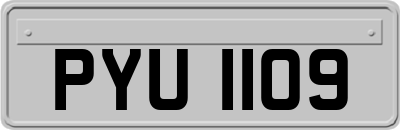 PYU1109