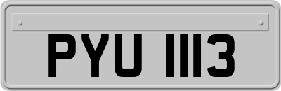 PYU1113