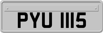 PYU1115