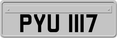 PYU1117