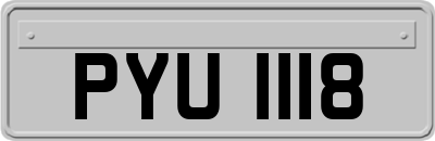 PYU1118