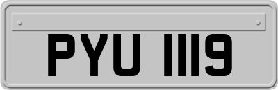 PYU1119