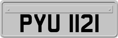 PYU1121