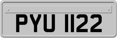 PYU1122
