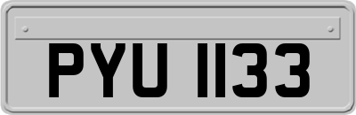 PYU1133