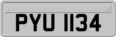 PYU1134