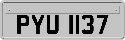 PYU1137