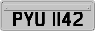 PYU1142