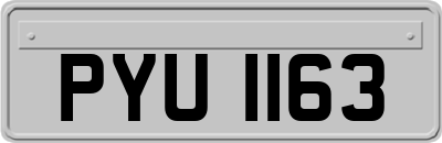 PYU1163