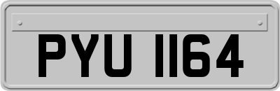 PYU1164
