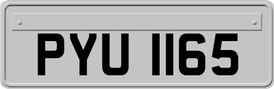 PYU1165