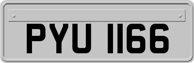 PYU1166