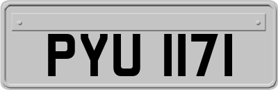 PYU1171