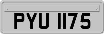 PYU1175