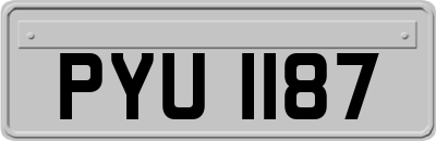 PYU1187
