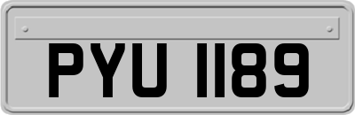 PYU1189