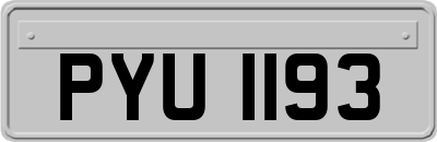 PYU1193