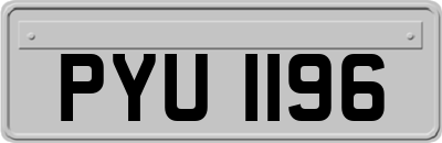 PYU1196