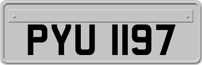 PYU1197