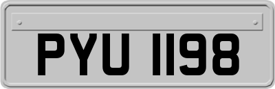 PYU1198