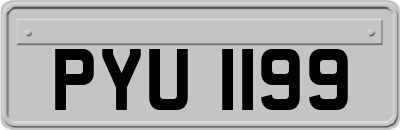 PYU1199