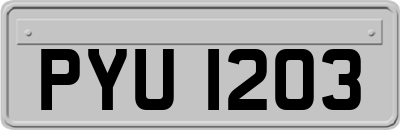 PYU1203