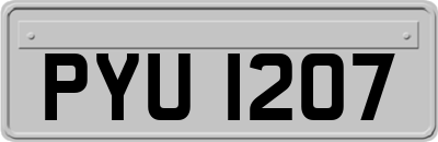 PYU1207