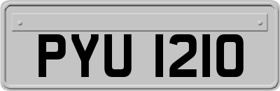 PYU1210