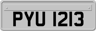 PYU1213