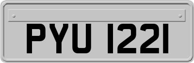 PYU1221