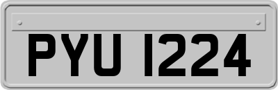 PYU1224