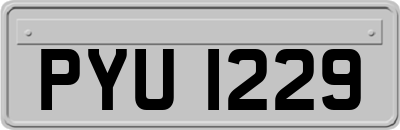 PYU1229