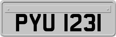 PYU1231