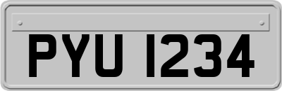 PYU1234