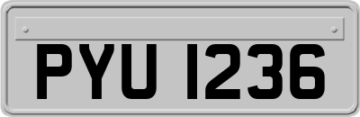 PYU1236