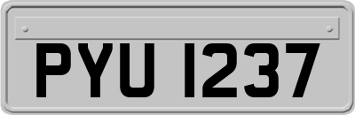 PYU1237