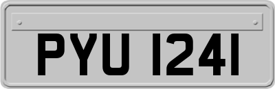 PYU1241