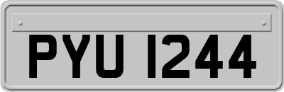 PYU1244