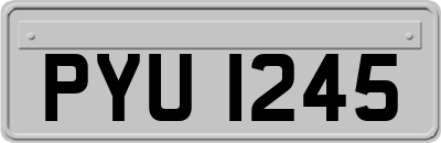PYU1245