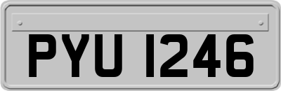 PYU1246