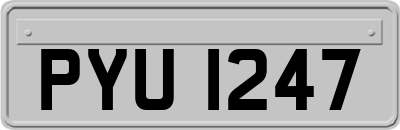 PYU1247