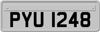 PYU1248
