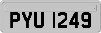 PYU1249