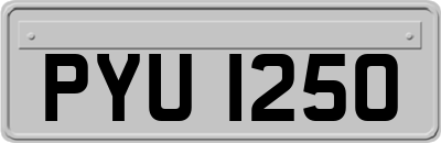 PYU1250