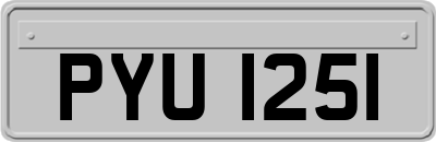 PYU1251