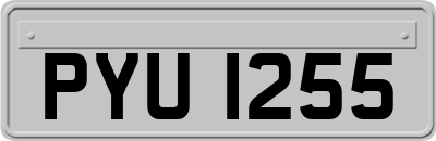 PYU1255