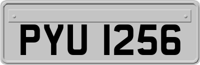 PYU1256