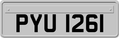 PYU1261