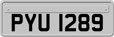 PYU1289